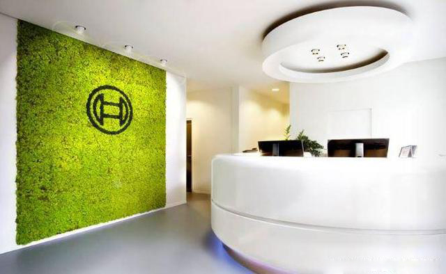 公司前臺(tái)永生苔蘚logo形象墻