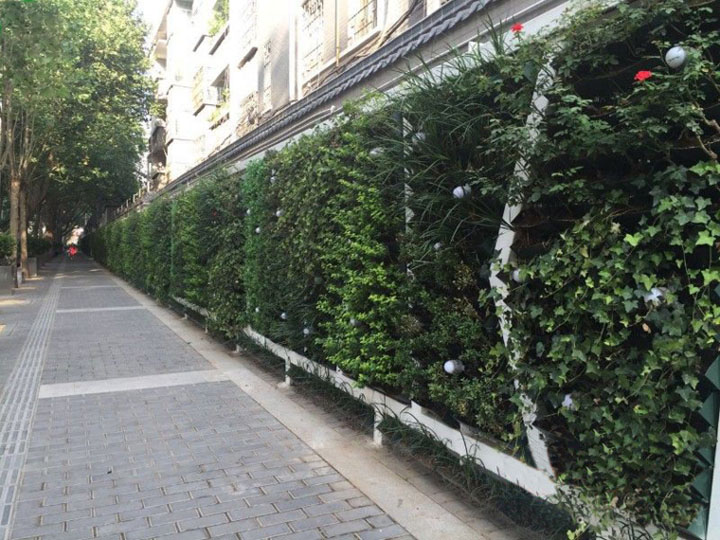 仿真綠色植物墻